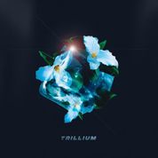 Album Trillium