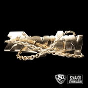 Album Trophy