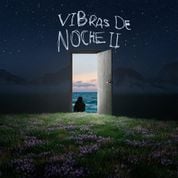Album Vibras de Noche II