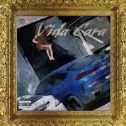 Album VIDA CARA
