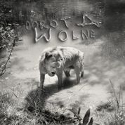 Album Wolne