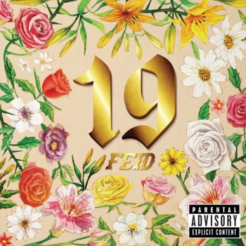 Album 19 de Feid
