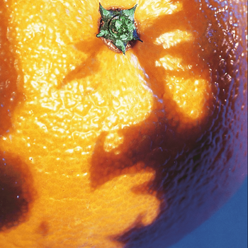 Album A Picture of Nectar de Phish