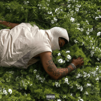 Album Before I Disappear Again de NoCap