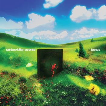 Album bones de Rainbow Kitten Surprise