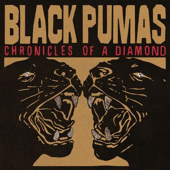 Album Chronicles of a Diamond de Black Pumas