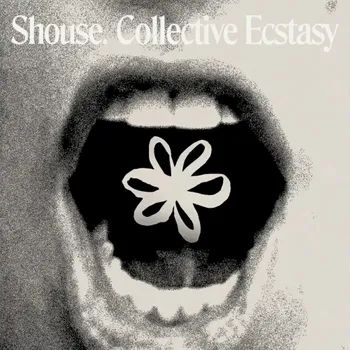 Album Collective Ecstasy de Shouse