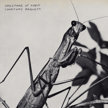 Album Creature of Habit de Courtney Barnett