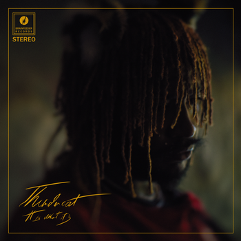 Album It Is What It Is de Thundercat