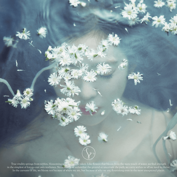 Album Like A Flower de IRENE