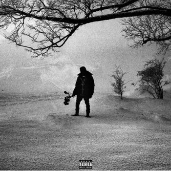 Album M.A.N (Black Roses & Lost Feelings) de Josman