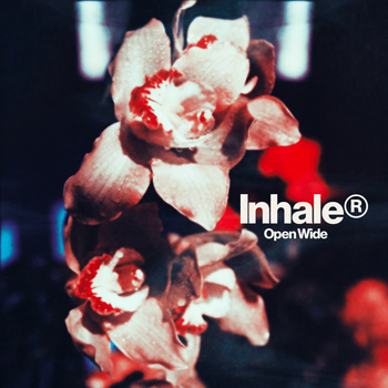 Album Open Wide de Inhaler