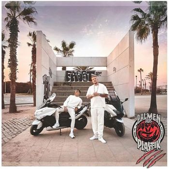 Album Palmen aus Plastik 3 de Bonez MC & RAF Camora
