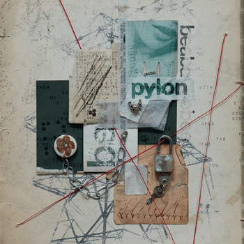 Album Pylon de ​beabadoobee