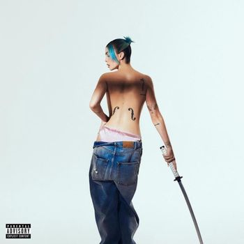 Album Radio Sakura de Rose Villain