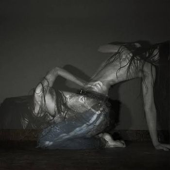 Album Something is a shell . de SOFIA ISELLA
