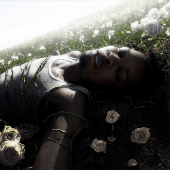 Album WITHERED de D4vd