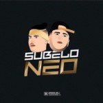 foto S&uacute;belo Neo
