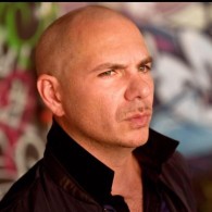 Pitbull foto