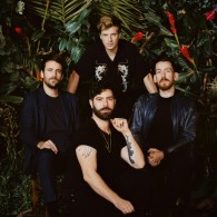 Foals foto