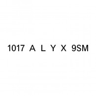 1017 ALYX 9SM foto