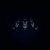 Noisia