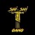 ShiShiGang Records